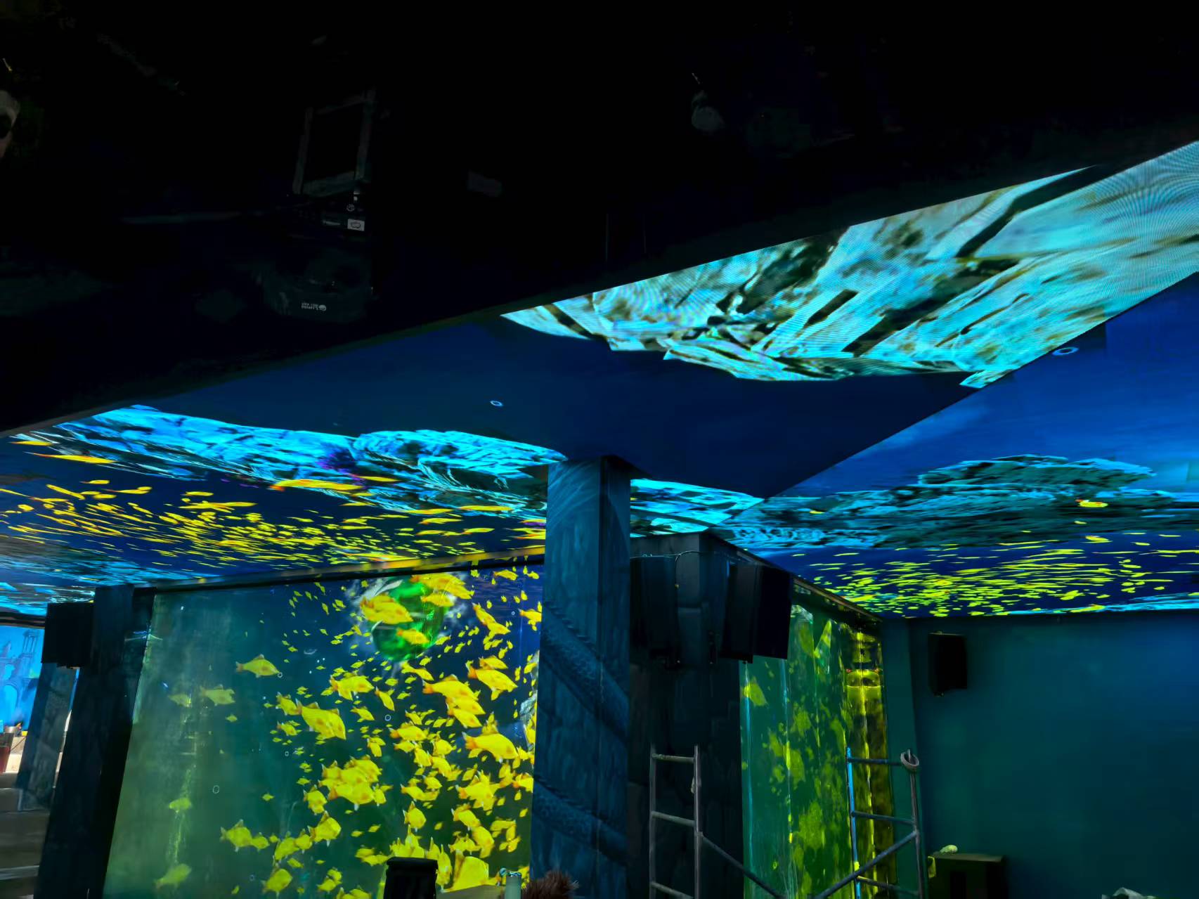 深圳观澜海洋世界