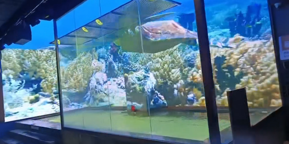 暴雨温泉互动3D屏